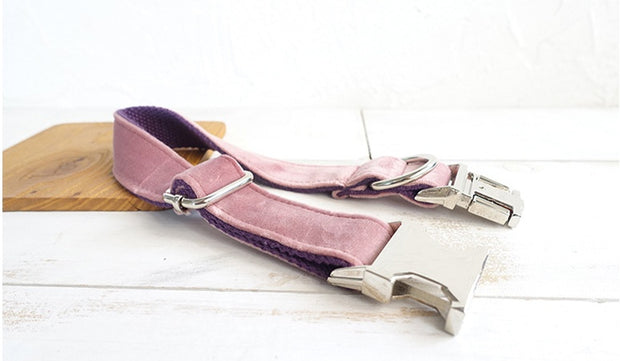 pet leashes and collar