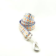 Pet leash dog collar leash