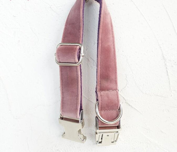 pet leashes and collar